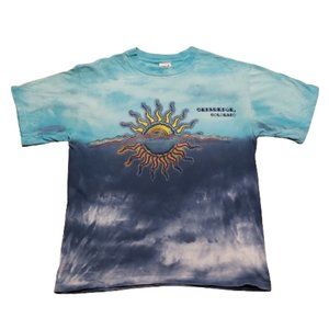 Anvil Cedaredge Colorado Sun T-Shirt Men's Medium M Blue Travel Acid Wash Tee